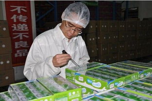 严控牛奶安全 伊利王永新的火眼金睛与食品流通管理之道